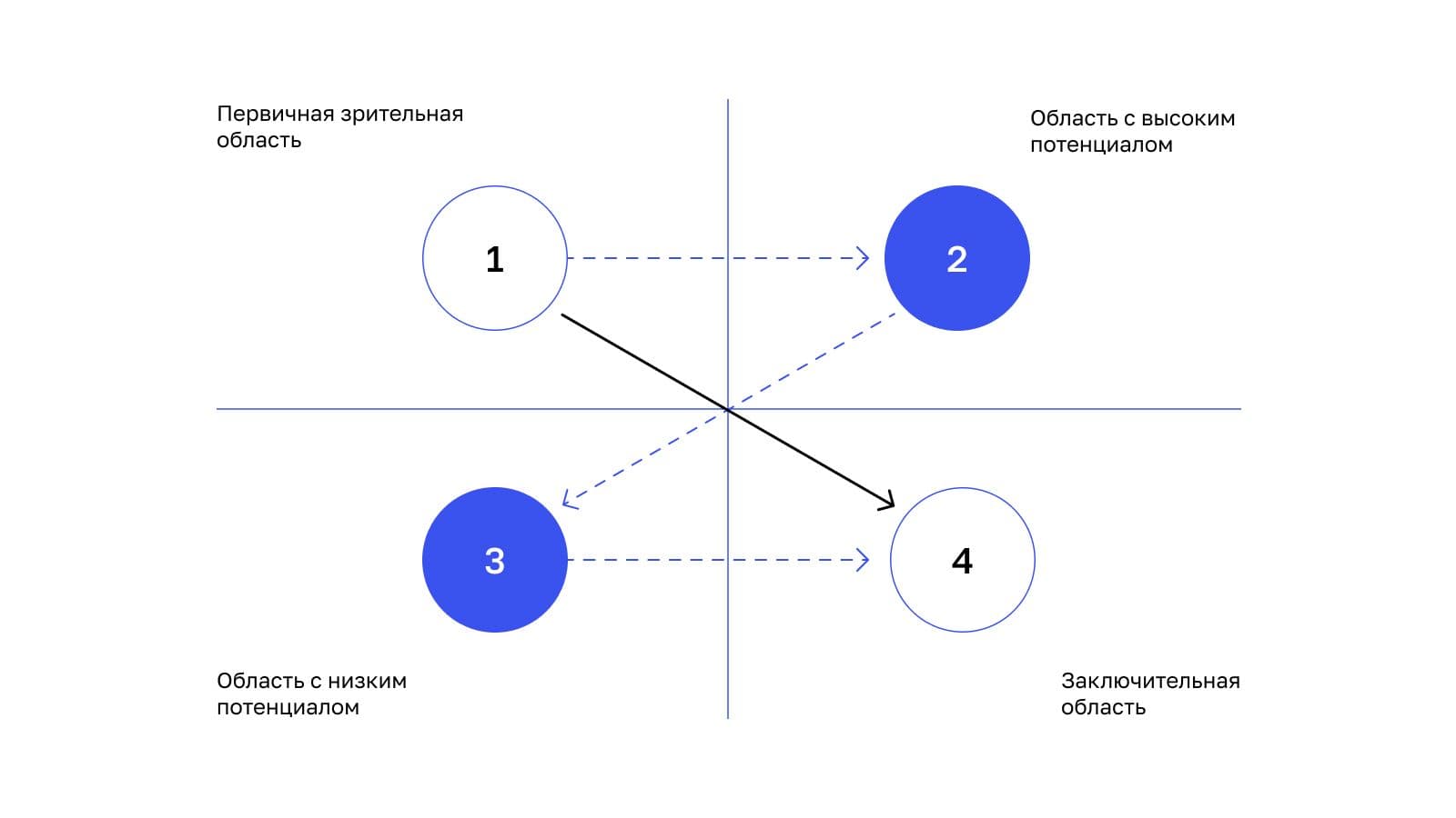 infografika_5118ce90b0.jpg